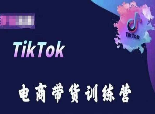 TikTok电商带货训练营，跟随时代潮流，跨境掘金-优优云创