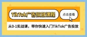 TikTok广告投放课程，从0-1实战课，带你快速入门TikTok广告投放（30节课）-优优云创