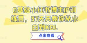0基础小红书博主IP训练营，37天天教你从小白到KOL-优优云创