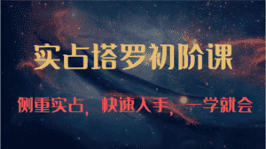 实占塔罗初阶课：独特的牌意解读学习结构，侧重实占，快速入手，一学就会（47节）-副业吧