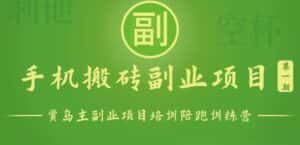 手机搬砖小副业项目训练营1.0，能用手机做的简单小副业-优优云创