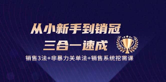 从小新手到销冠三合一速成：销售3法+非暴力关单法+销售系统挖需课 (27节)-优优云创