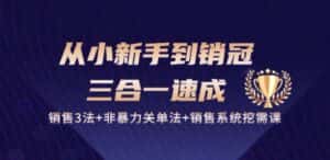 从小新手到销冠 三合一速成：销售3法+非暴力关单法+销售系统挖需课 (27节)-优优云创