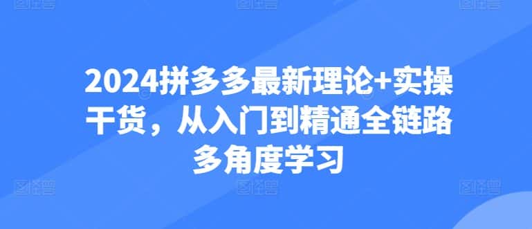 2024拼多多最新理论+实操干货，从入门到精通全链路多角度学习-优优云创