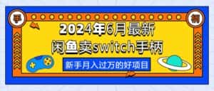 （10831期）2024年6月最新闲鱼卖switch游戏手柄，新手月入过万的第一个好项目-优优云创