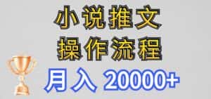小说推文项目新玩法操作全流程，月入20000+，门槛低非常适合新手-优优云创