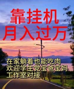 （10838期）靠挂机，日入1000+，躺着也能吃肉，适合宝爸宝妈学生党工作室，电脑手…-优优云创网