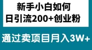 （10843期）新手小白日引流200+创业粉,通过卖项目月入3W+-优优云创
