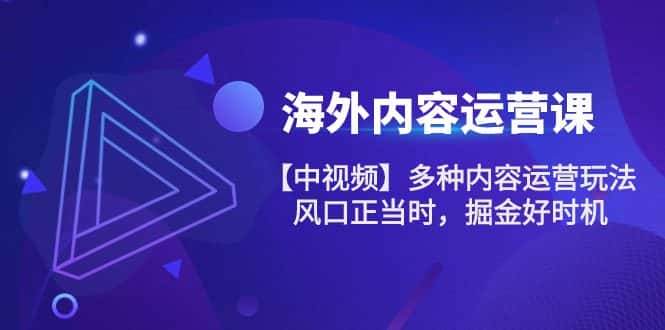海外内容运营课【中视频】多种内容运营玩法 风口正当时 掘金好时机（101节）-优优云创