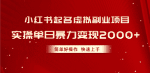 （10856期）小红书起名虚拟副业项目，实操单日暴力变现2000+，简单好操作，快速上手-优优云创