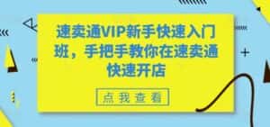 速卖通VIP新手快速入门班，手把手教你在速卖通快速开店-副业吧