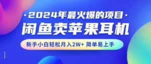 （10863期）2024年最火爆的项目，闲鱼卖苹果耳机，新手小白轻松月入2W+简单易上手-优优云创