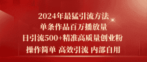 （10920期）2024年最猛暴力引流方法，单条作品百万播放 单日引流500+高质量精准创业粉-优优云创