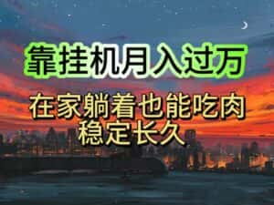 （10921期）挂机项目日入1000+，躺着也能吃肉，适合宝爸宝妈学生党工作室，电脑手…-优优云创