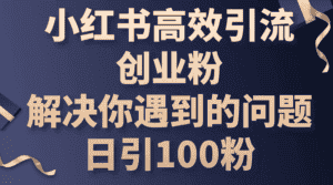 （10929期）小红书高效引流创业粉，解决你遇到的问题，日引100粉-副业吧