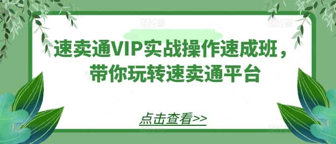 速卖通VIP实战操作速成班，带你玩转速卖通平台-优优云创