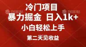 （10942期）冷门项目，靠一款软件定制头像引流 日入1000+小白轻松上手，第二天见收益-优优云创