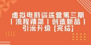 （10960期）虚拟电商训练营第三期丨流程精简丨创造新品丨引流升级-优优云创