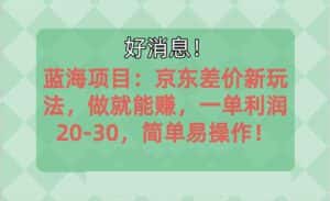 （10989期）越早知道越能赚到钱的蓝海项目：京东大平台操作，一单利润20-30，简单…-副业吧