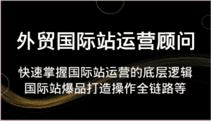 外贸国际站运营顾问-快速掌握国际站运营的底层逻辑，国际站爆品打造操作全链路等-优优云创