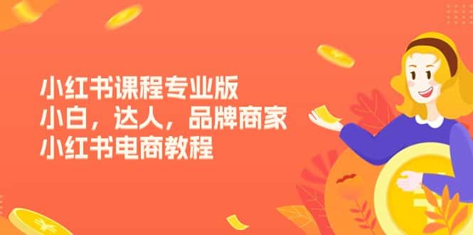 （11022期）小红书课程专业版，小白，达人，品牌商家，小红书电商教程（15节）-优优云创