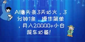 （11033期）AI撸头条3天必火，3分钟1条，操作简单，月入20000+小白超车必备！-优优云创