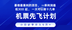 2024暑假最赚钱的项目，市场很大，一单利润300+，每天可批量操作-优优云创