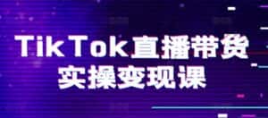 TikTok直播带货实操变现课：系统起号、科学复盘、变现链路、直播配置、小店操作流程、团队搭建等。-优优云创