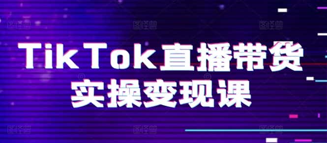 TikTok直播带货实操变现课：系统起号、科学复盘、变现链路、直播配置、小店操作流程、团队搭建等。-优优云创