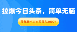 (11077期)拉爆今日头条,简单无脑,零基础小白也可日入2000+-副业吧
