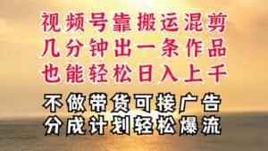 （11087期）深层揭秘视频号项目，是如何靠搬运混剪做到日入过千上万的，带你轻松爆…-副业吧