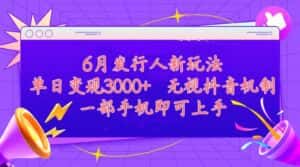 （11092期）发行人计划最新玩法，单日变现3000+，简单好上手，内容比较干货，看完…-副业吧