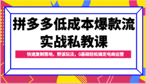 拼多多低成本爆款流实战私教课，快速复制落地，野派玩法，0基础轻松搞定电商运营-优优云创