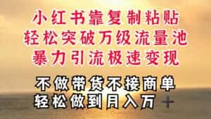 （11139期）深层揭秘小红书，靠复制粘贴，一周突破万级流量池，无脑搬运，暴力引流…-优优云创