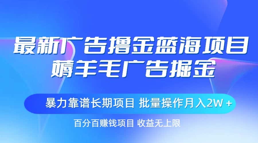 (11193期)最新广告撸金蓝海项目,薅羊毛广告掘金 长期项目 批量操作月入2W+-优优云创网