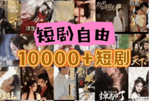 打造完全属于自己的个人短剧库，实现网盘拉新与私域变现的完美融合！-优优云创