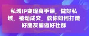 私域IP变现高手课，做好私域，被动成交，教你如何打造好朋友圈做好社群-优优云创