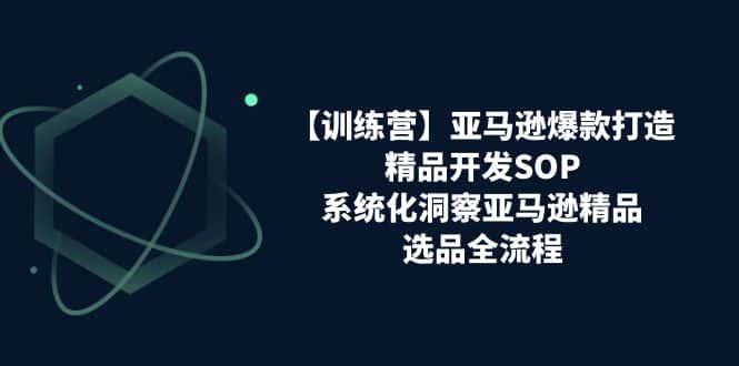 亚马逊爆款打造之精品开发SOP【训练营】，系统化洞察亚马逊精品选品全流程-优优云创