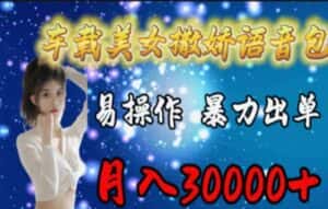 （11249期）车载美女撒娇语音包，执行就出单，月入3000＋，小白看完课程就能马上实操-副业吧