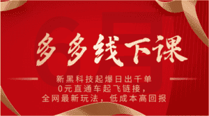 多多线下课：新黑科技起爆日出千单，0元直通车起飞链接，全网最新玩法，低成本高回报-优优云创