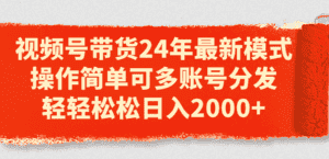（11281期）视频号带货24年最新模式，操作简单可多账号分发，轻轻松松日入2000+-优优云创
