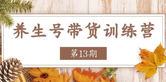 养生号带货训练营【第13期】收益更稳定的玩法，让你带货收益爆炸-优优云创