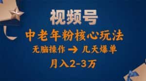 （11288期）视频号火爆玩法，高端中老年粉核心打法，无脑操作，一天十分钟，月入两万-优优云创