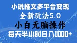 （11323期）2024年6月份一件分发加持小说推文暴力玩法 新手小白无脑操作日入1000+ …-副业吧
