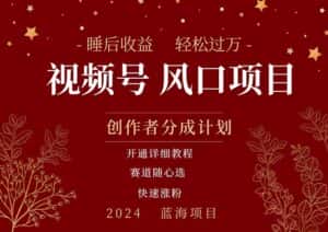 （11331期）拥有睡眠收益的微信视频号大风口项目，轻松月入过万+，多赛道选择，可…-优优云创