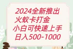 2024火蚁卡打金最新玩法和方案，单机日收益600+-优优云创