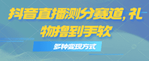 （11380期）抖音直播测分赛道，多种变现方式，轻松日入1000+-优优云创