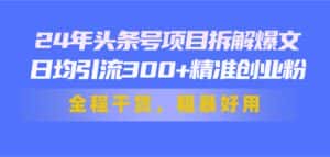 （11397期）24年头条号项目拆解爆文，日均引流300+精准创业粉，全程干货，粗暴好用-优优云创