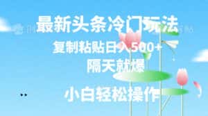 （11414期）最新头条冷门玩法，隔天就爆，复制粘贴日入500+-优优云创
