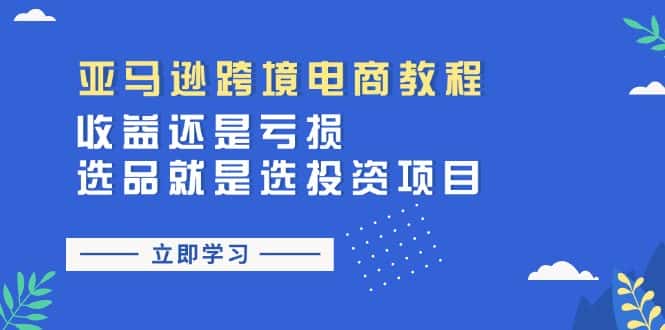 （11432期）亚马逊跨境电商教程：收益还是亏损！选品就是选投资项目-优优云创